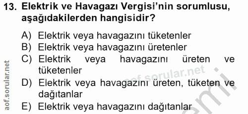 13. soru: Elektrik ve Havagazı Vergisi'nin sorumlusu, aşağıdakilerden hangisidir? A) Elektrik veya havagazını tüketenler B) Ele…