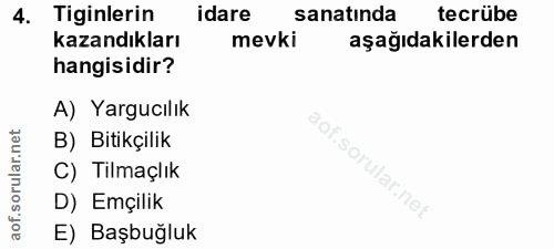 4. soru: Tiginlerin idare sanatinda tecrübe kazandıkları mevki aşağıdakilerden hangisidir? A) Yargucılık B) Bitikçilik ar. C)…