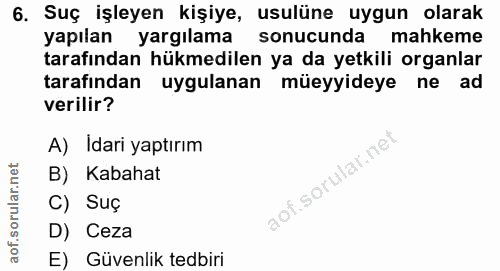 6. soru: Suç işleyen kişiye, usulüne uygun olarak yapılan yargılama sonucunda mahkeme tarafından hükmedilen ya da yetkili orga…