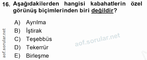 16. soru: Aşağıdakilerden hangisi kabahatlerin özel görünüş biçimlerinden biri değildir? A) Ayrılma B) İştirak C) Teşebbüs D) T…