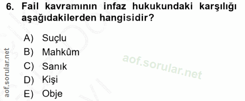 6. soru: Fail kavramının infaz hukukundaki karşılığı aşağıdakilerden hangisidir? A) Suçlu B) Mahkûm C) Sanık D) Kişi E) Obje