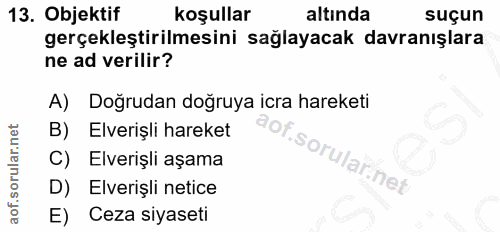 13. soru: Objektif koşullar altında suçun gerçekleştirilmesini sağlayacak davranışlara ne ad verilir? A) Doğrudan doğruya icra…