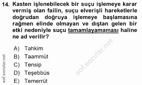14. soru: Kasten işlenebilecek bir suçu işlemeye karar vermiş olan failin, suçu elverişli hareketlerle doğrudan doğruya işlemey…