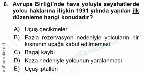 6. soru: Avrupa Birliği'nde hava yoluyla seyahatlerde yolcu haklarına ilişkin 1991 yılında yapılan ilk düzenleme hangi konudad…