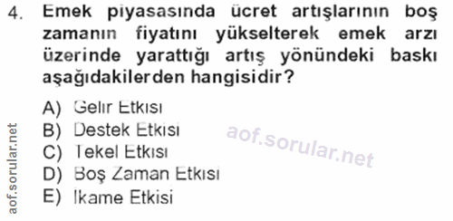 4. soru: Emek piyasasında ücret artışlarının boş zamanın fiyatını yükselterek emek arzı üzerinde yarattığı artış yönündeki bas…