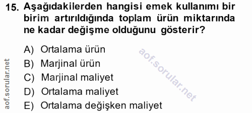 15. soru: Aşağıdakilerden hangisi emek kullanımı bir birim artırıldığında toplam ürün miktarında ne kadar değişme olduğunu göst…