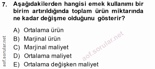 7. soru: Aşağıdakilerden hangisi emek kullanımı bir birim artırıldığında toplam ürün miktarında ne kadar değişme olduğunu göst…