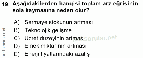 19. soru: Aşağıdakilerden hangisi toplam arz eğrisinin sola kaymasına neden olur? A) Sermaye stokunun artması B) Teknolojik gel…