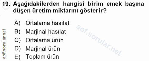 19. soru: Aşağıdakilerden hangisi birim emek başına düşen üretim miktarını gösterir? A) Ortalama hasılat B) Marjinal hasılat S…