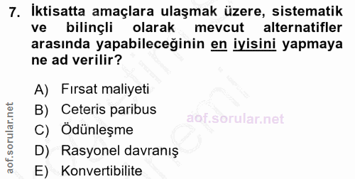 7. soru: Iktisatta amaçlara ulaşmak üzere, sistematik ve bilinçli olarak mevcut alternatifler arasında yapabileceğinin en iyis…
