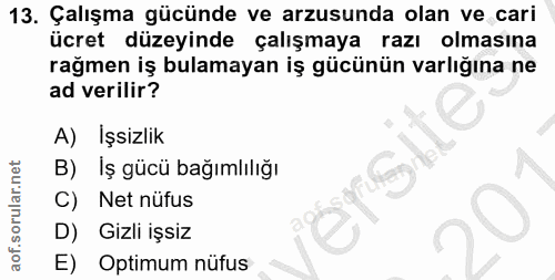 13. soru: Çalışma gücünde ve arzusunda olan ve cari ücret düzeyinde çalışmaya razı olmasına rağmen iş bulamayan iş gücünün varl…