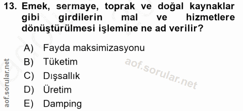 13. soru: Emek, sermaye, toprak ve doğal kaynaklar gibi girdilerin mal ve hizmetlere dönüştürülmesi işlemine ne ad verilir? A)…