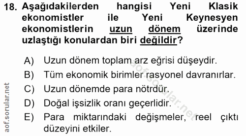 18. soru: Aşağıdakilerden hangisi Yeni Klasik ekonomistler ile Yeni Keynesyen ekonomistlerin uzun dönem üzerinde uzlaştığı konu…