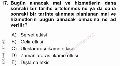 17. soru: Bugün alınacak mal ve hizmetlerin daha sonraki bir tarihe ertelenmesine ya da daha sonraki bir tarihte alınması planl…