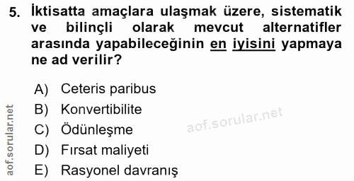 5. soru: Iktisatta amaçlara ulaşmak üzere, sistematik ve bilinçli olarak mevcut alternatifler arasında yapabileceğinin en iyis…
