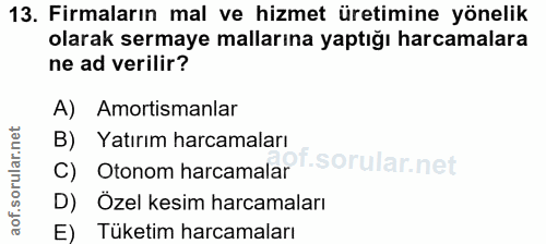 13. soru: Firmaların mal ve hizmet üretimine yönelik olarak sermaye mallarına yaptığı harcamalara ne ad verilir? A) Amortismanl…