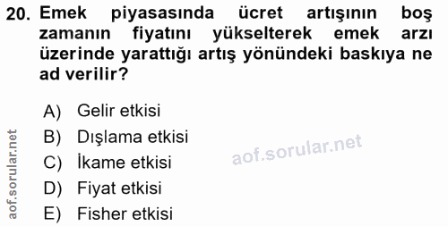 20. soru: Emek piyasasında ücret artışının boş zamanın fiyatını yükselterek emek arzı üzerinde yarattığı artış yönündeki baskıy…