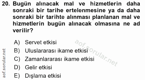 20. soru: Bugün alınacak mal ve hizmetlerin daha sonraki bir tarihe ertelenmesine ya da daha sonraki bir tarihte alınması planl…