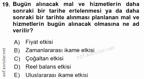 19. soru: Bugün alınacak mal ve hizmetlerin daha sonraki bir tarihe ertelenmesi ya da daha sonraki bir tarihte alınması planlan…