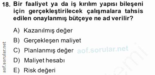 18. soru: Bir faaliyet ya da iş kırılım yapısı bileşeni için gerçekleştirilecek çalışmalara tahsis edilen onaylanmış bütçeye ne…
