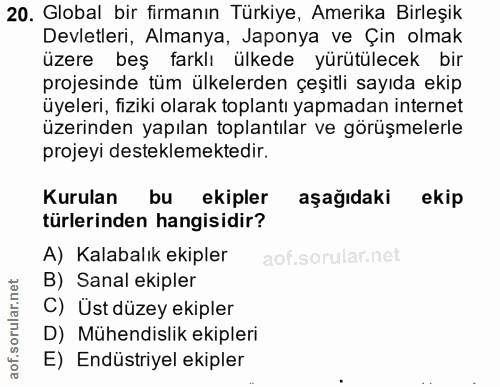 20. soru: Global bir firmanın Türkiye, Amerika Birleşik Devletleri, Almanya, Japonya ve Çin olmak üzere beş farklı ülkede yürüt…