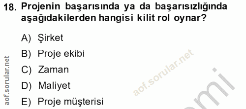 18. soru: Projenin başarısında ya da başarısızlığında aşağıdakilerden hangisi kilit rol oynar? A) Şirket B) Proje ekibi C) Zama…