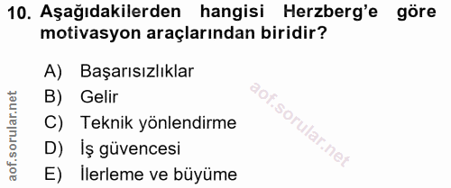 10. soru: Aşağıdakilerden hangisi Herzberg'e göre motivasyon araçlarından biridir? A) Başarısızlıklar B) Gelir C) Teknik yönlen…