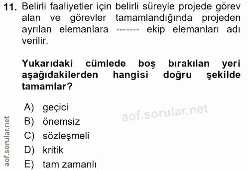 11. soru: Belirli faaliyetler için belirli süreyle projede görev alan ve görevler tamamlandığında projeden ayrılan elemanlara -…