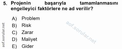 5. soru: Projenin başarıyla tamamlanmasını engelleyici faktörlere ne ad verilir? A) Problem B) Risk C) Zarar D) Maliyet E) Gider