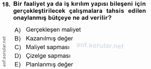 18. soru: Bir faaliyet ya da iş kırılım yapısı bileşeni için gerçekleştirilecek çalışmalara tahsis edilen onaylanmış bütçeye ne…
