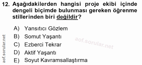 12. soru: Aşağıdakilerden hangisi proje ekibi içinde dengeli biçimde bulunması gereken öğrenme stillerinden biri değildir? A) Y…