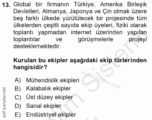 13. soru: Global bir firmanın Türkiye, Amerika Birleşik Devletleri, Almanya, Japonya ve Çin olmak üzere beş farklı ülkede yürüt…