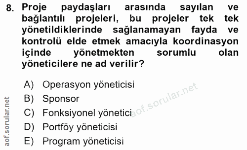 8. soru: Proje paydaşları arasında sayılan ve bağlantılı projeleri, bu projeler tek tek yönetildiklerinde sağlanamayan fayda v…