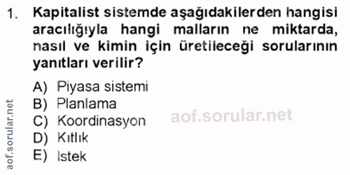 1. soru: Kapitalist sistemde aşağıdakilerden hangisi aracılığıyla hangi malların ne miktarda, nasıl ve kimin için üretileceği…