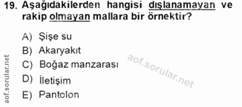 19. soru: Aşağıdakilerden hangisi dışlanamayan ve rakip olmayan mallara bir örnektir? A) Şişe su B) Akaryakıt C) Boğaz manzaras…