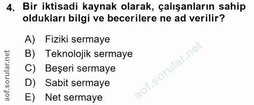 4. soru: Bir iktisadi kaynak olarak, çalışanların sahip oldukları bilgi ve becerilere ne ad verilir? A) Fiziki sermaye B) Tekn…