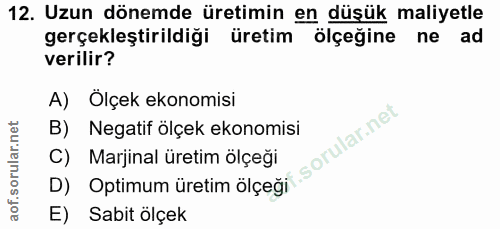 12. soru: Uzun dönemde üretimin en düşük maliyetle gerçekleştirildiği üretim ölçeğine ne ad verilir? A) Ölçek ekonomisi B) Nega…