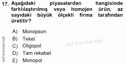 17. soru: Aşağıdaki piyasalardan hangisinde farklılaştırılmış veya homojen ürün, az sayıdaki büyük ölçekli firma tarafından üre…