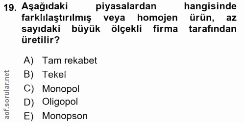 19. soru: Aşağıdaki piyasalardan hangisinde farklılaştırılmış veya homojen ürün, az sayıdaki büyük ölçekli firma tarafından üre…