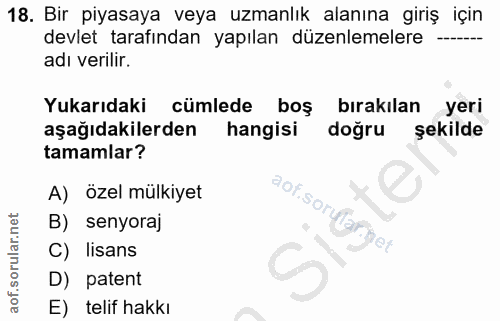 18. soru: Bir piyasaya veya uzmanlık alanına giriş için devlet tarafından yapılan düzenlemelere adı verilir. Yukarıdaki cümlede…