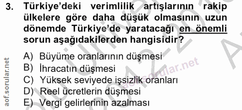 3. soru: Türkiye'deki verimlilik artışlarının rakip ülkelere göre daha düşük olmasının uzun dönemde Türkiye'de yaratacağı en ö…