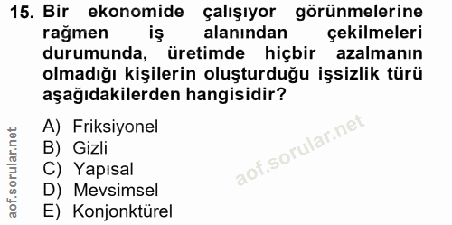 15. soru: Bir ekonomide çalışıyor görünmelerine rağmen alanından çekilmeleri durumunda, üretimde hiçbir azalmanın olmadığı kişi…