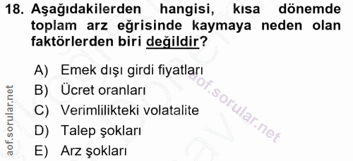 18. soru: Aşağıdakilerden hangisi, kısa dönemde toplam arz eğrisinde kaymaya neden olan faktörlerden biri değildir? A) Emek dış…