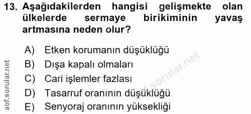 13. soru: Aşağıdakilerden hangisi gelişmekte olan ülkelerde sermaye birikiminin yavaş artmasına neden olur? A) Etken korumanın…