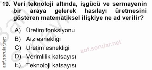 19. soru: Veri teknoloji altında, işgücü ve sermayenin bir araya gelerek hasılayı üretmesini gösteren matematiksel ilişkiye ne…