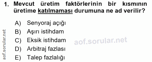 1. soru: Mevcut üretim faktörlerinin bir kısmının üretime katılmaması durumuna ne ad verilir? A) Senyoraj açığı B) Aşırı istih…