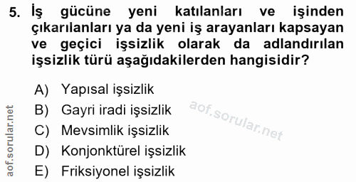 5. soru: İş gücüne yeni katılanları ve işinden çıkarılanları ya da yeni iş arayanları kapsayan ve geçici işsizlik olarak da ad…