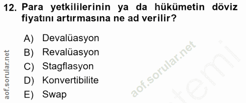 12. soru: Para yetkililerinin ya da hükümetin döviz fiyatını artırmasına ne ad verilir? A) Devaluasyon B) Revalüasyon C) Stagfl…