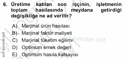 6. soru: Üretime katılan son işçinin, işletmenin toplam hasılasında meydana getirdiği değişikliğe ne ad verilir? A) Marjinal ü…