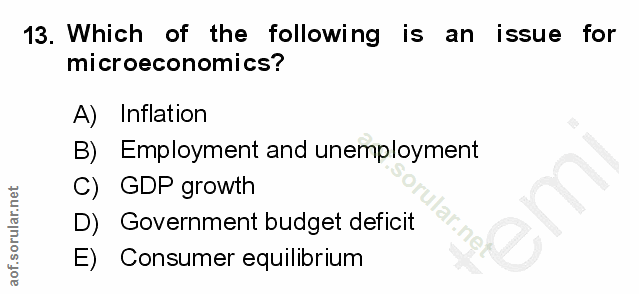 13. soru: Which of the following is an issue for microeconomics? A) Inflation B) Employment and unemployment C) GDP growth D) G…